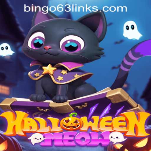HalloweenMeow and Bingo63: Discover the Thrills of a Spooky Adventure