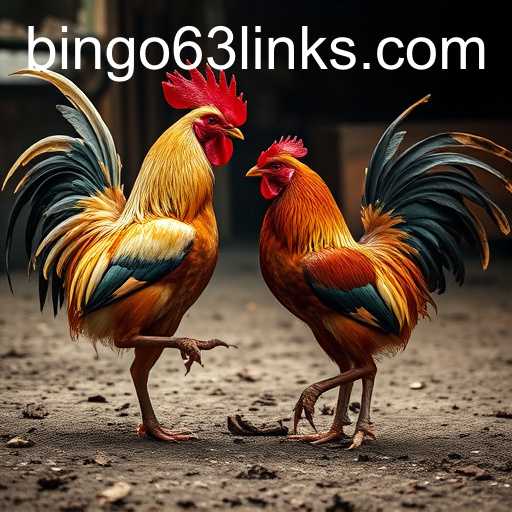 Exploring Sabong Games and the Impact of Bingo63